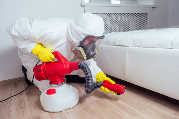 Emergency Pest Control Services in Taunton, MA